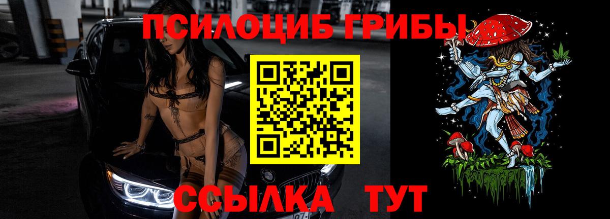 Псилоцибиновые грибы Psilocybe Омск